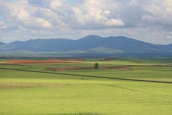 Imagen Vegetación en Maderuelo y alderedores