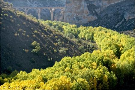 Imagen Sendas del parque natural Hoces del Río Riaza